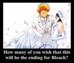 Rating: s Tags: Female, Male, Dress, Black Hair, Short Hair, Bleach, Wedding Dress, Kurosaki Ichigo, Kuchiki Rukia, Orange Hair, Carry, Petal, Princess Carry, Text, Demotivational Poster, Low Quality, Gotei 13