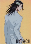 Rating: s Tags: Male, Long Hair, Black Hair, Bleach, Kuchiki Byakuya, Looking Back, Gotei 13
