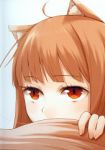 Rating: s Tags: Female, Long Hair, Brown Hair, Red Eyes, Horo, Spice and Wolf, Kemonomimi, Okamimimi, Ayakura Juu