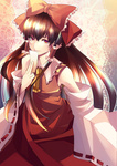 Rating: s Tags: Female, Long Hair, Brown Hair, Touhou, Hakurei Reimu, Bows (Fashion), Solo, Hair Ornament, Hair Tubes, Ito Mijinko