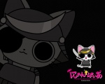 Rating: s Tags: Animal, Hat, Tail, Cat, Eyepatch, Wallpaper, Black Eyes, Gonzo, Teeth, 1280X1024 Wallpaper, Solo, Null, Text, Standing, No People, Black Background, Simple Background, Wallpaper 5:4 Ratio, Japanese Text, Text: Series Name, Nyanpire